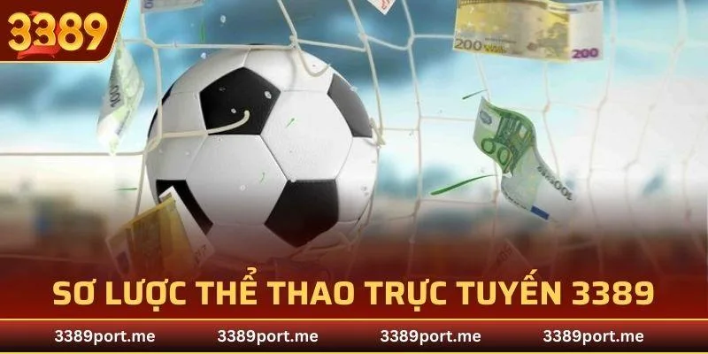 Bạn còn có thể trực tiếp tham gia vào những trò chơi thể thao