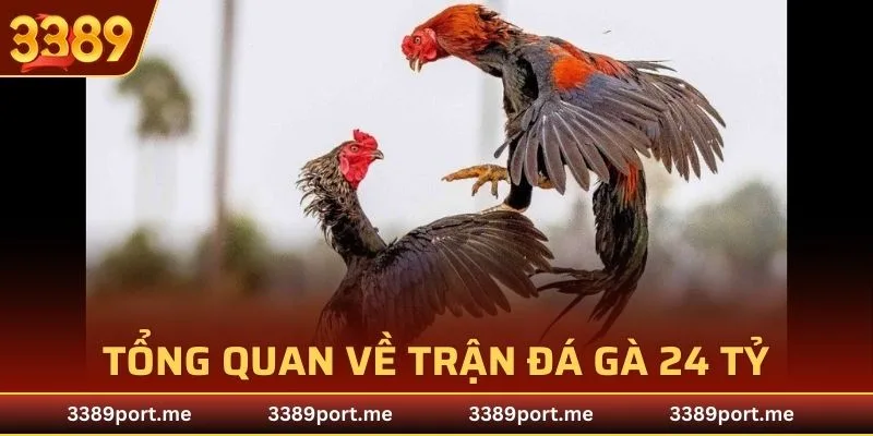 Giới thiệu trận đấu chấn động làng đá gà
