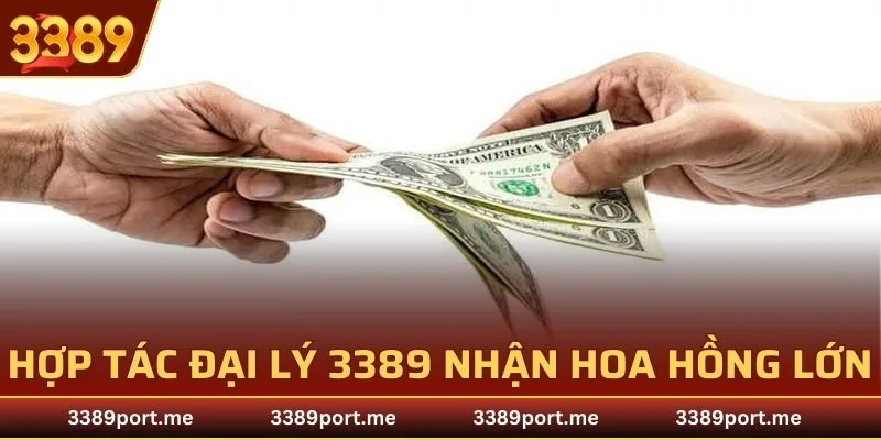 Hợp tác đại lý 3389 cơ hội nhận hoa hồng lớn